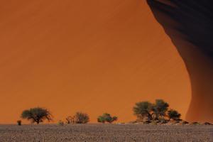 02 10 Oktober-2024 Dr.-Arno-Bokeloh Duene-in-der-Namib-Wueste-Namibia